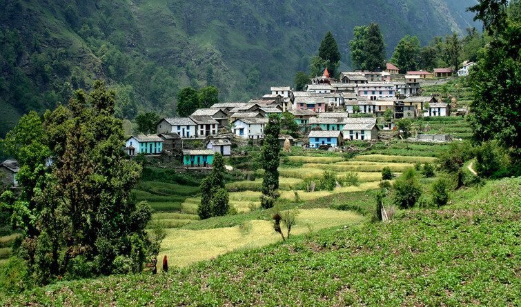 thailisain Uttarakhand